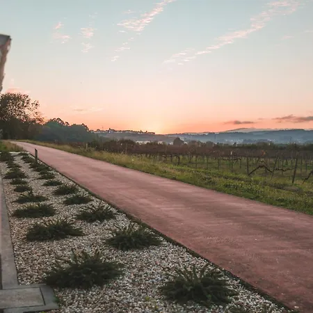 Alma Candida 23 Гостевой дом Azenhas