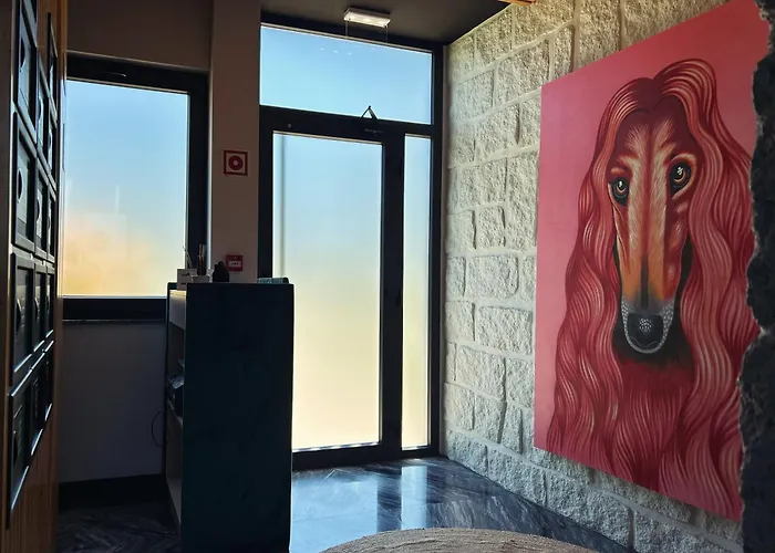 Alma Candida 23 Affittacamere