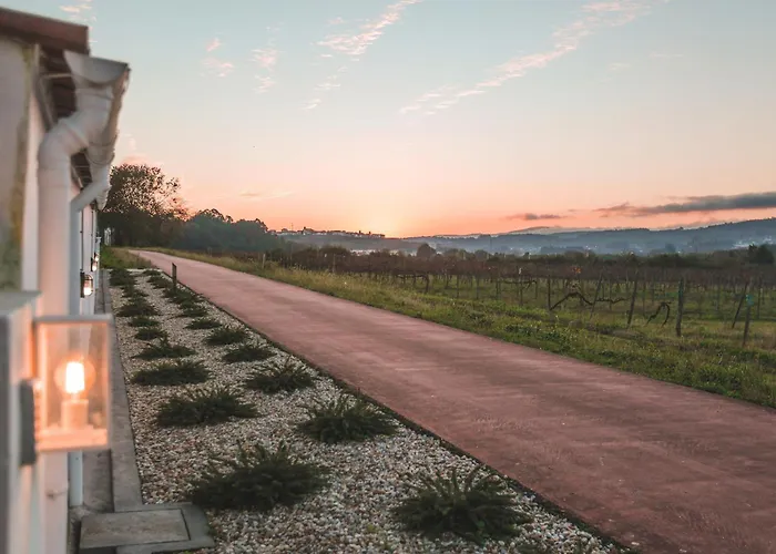 Alma Candida 23 Penzion Azenhas